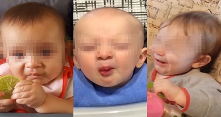 Babies' Funny Reactions to Food